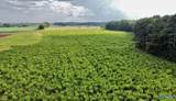 26 Acres Piney Chapel Road - Photo 16