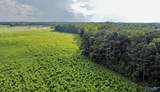 26 Acres Piney Chapel Road - Photo 19