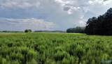 26 Acres Piney Chapel Road - Photo 20