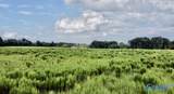 26 Acres Piney Chapel Road - Photo 3
