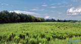 26 Acres Piney Chapel Road - Photo 4