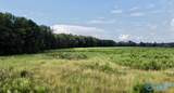 26 Acres Piney Chapel Road - Photo 6