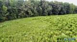 26 Acres Piney Chapel Road - Photo 7