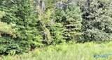 26 Acres Piney Chapel Road - Photo 8