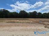 Lot 27 County Road 336 - Photo 11