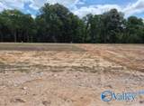 Lot 27 County Road 336 - Photo 8