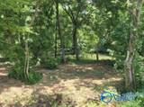 Lot 29 County Road 336 - Photo 12