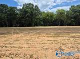 Lot 29 County Road 336 - Photo 14