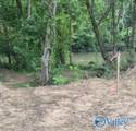 Lot 29 County Road 336 - Photo 5