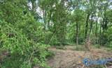 Lot 29 County Road 336 - Photo 6