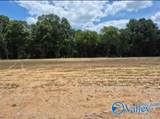 Lot 29 County Road 336 - Photo 9