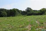 Tract 1 & 2 Brown Road - Photo 2