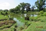 Tract 7 Brown Road - Photo 1
