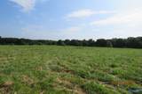 Tract 6 Brown Road - Photo 3