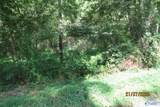 Tract 6 Brown Road - Photo 4