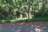 Tract 6 Brown Road - Photo 6