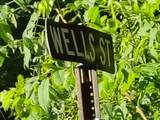 0.59 acres Wells Street - Photo 3