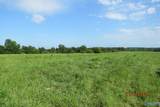 Tract 14 Brown Road - Photo 2