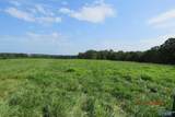 Tract 14 Brown Road - Photo 5