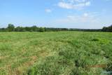 Tract 14 Brown Road - Photo 6
