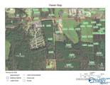 96 Old Highway 411 - Photo 3