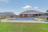29562 Thunderpaw Drive - Photo 10
