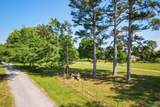 10424 (Tract 1) Segers Road - Photo 15