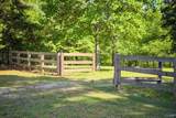 10424 (Tract 1) Segers Road - Photo 17