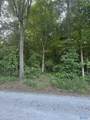 Lot 71 Goldenrod Way - Photo 1