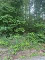 Lot 71 Goldenrod Way - Photo 2