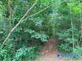 10 Acres Township Road - Photo 17