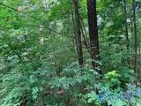 10 Acres Township Road - Photo 29