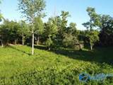 7.5 Acres Holt Springer Road - Photo 20