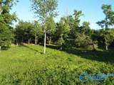 7.5 Acres Holt Springer Road - Photo 21