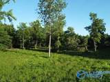 7.5 Acres Holt Springer Road - Photo 22