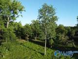 7.5 Acres Holt Springer Road - Photo 23