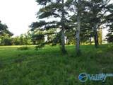 7.5 Acres Holt Springer Road - Photo 26