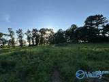 7.5 Acres Holt Springer Road - Photo 29