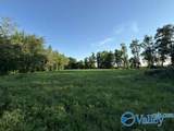 7.5 Acres Holt Springer Road - Photo 35