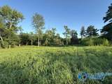 7.5 Acres Holt Springer Road - Photo 37