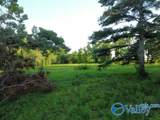 7.5 Acres Holt Springer Road - Photo 7