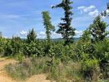 199 Acres Hornbuckle Road - Photo 1