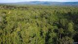 199 Acres Hornbuckle Road - Photo 10