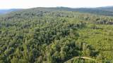 199 Acres Hornbuckle Road - Photo 12