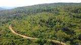 199 Acres Hornbuckle Road - Photo 13
