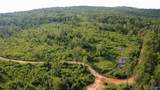 199 Acres Hornbuckle Road - Photo 14
