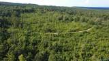 199 Acres Hornbuckle Road - Photo 15