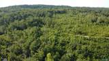 199 Acres Hornbuckle Road - Photo 16