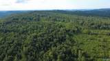 199 Acres Hornbuckle Road - Photo 17
