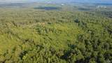 199 Acres Hornbuckle Road - Photo 18